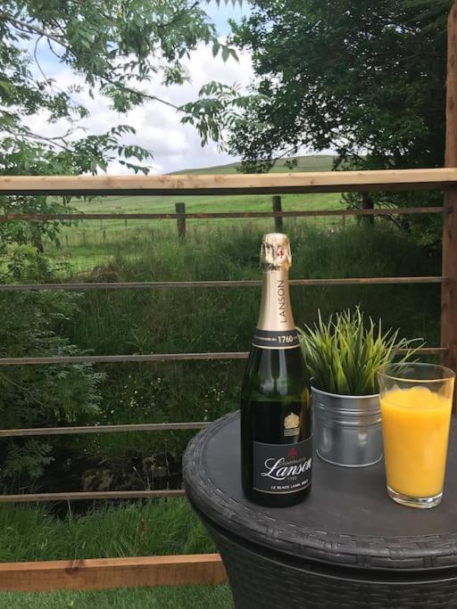 Fallburn Hideaway Martinstown Ngoại thất bức ảnh