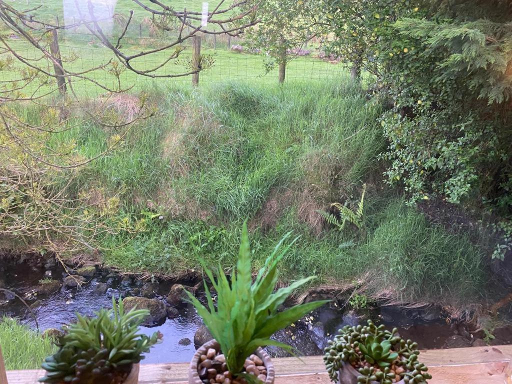 Fallburn Hideaway Martinstown Ngoại thất bức ảnh