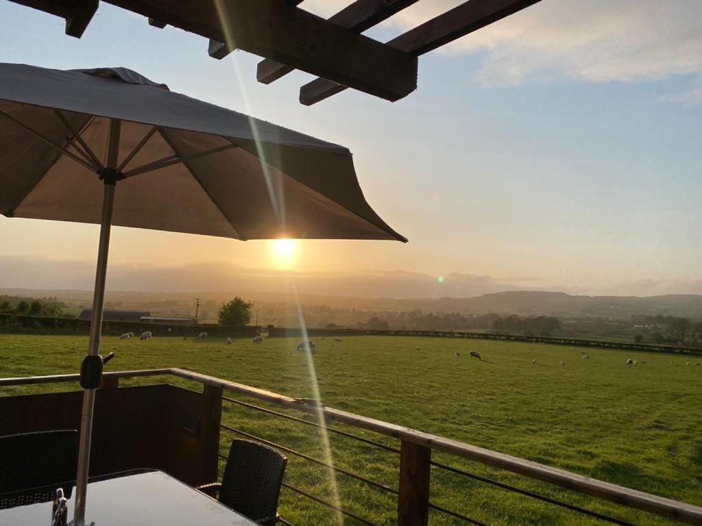 Fallburn Hideaway Martinstown Ngoại thất bức ảnh
